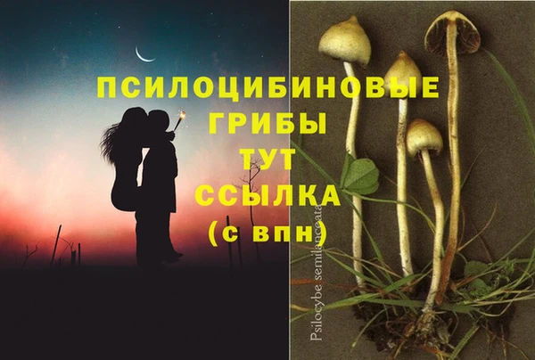 соль ск Аркадак