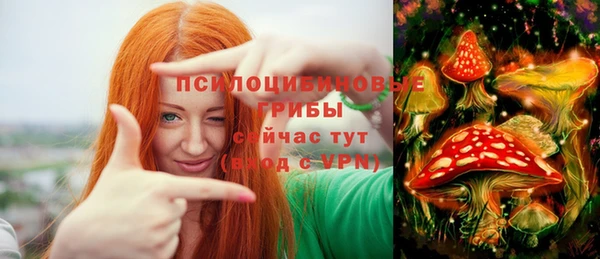 герыч Арсеньев