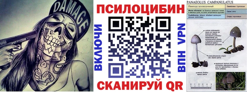 закладка  Валуйки  Псилоцибиновые грибы мицелий 